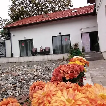 Ana Pensjonat Kluż-Napoka